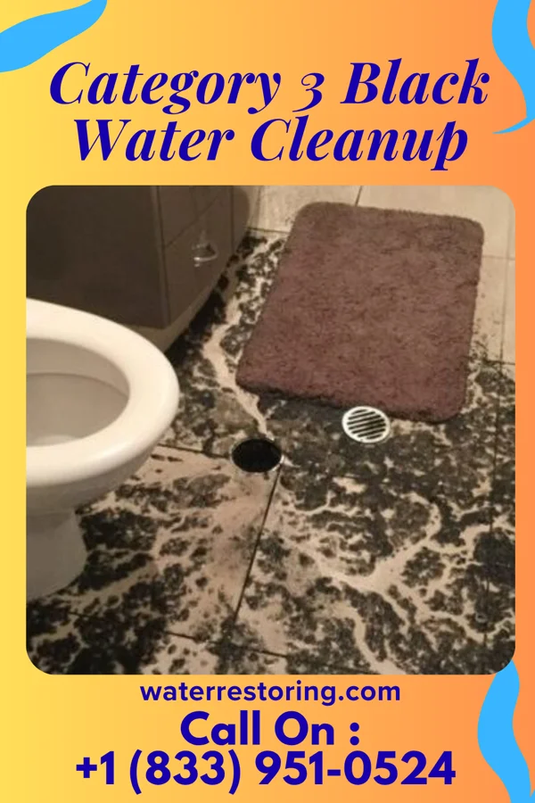 Category 3 Black Water Cleanup in Hallsburg, TX